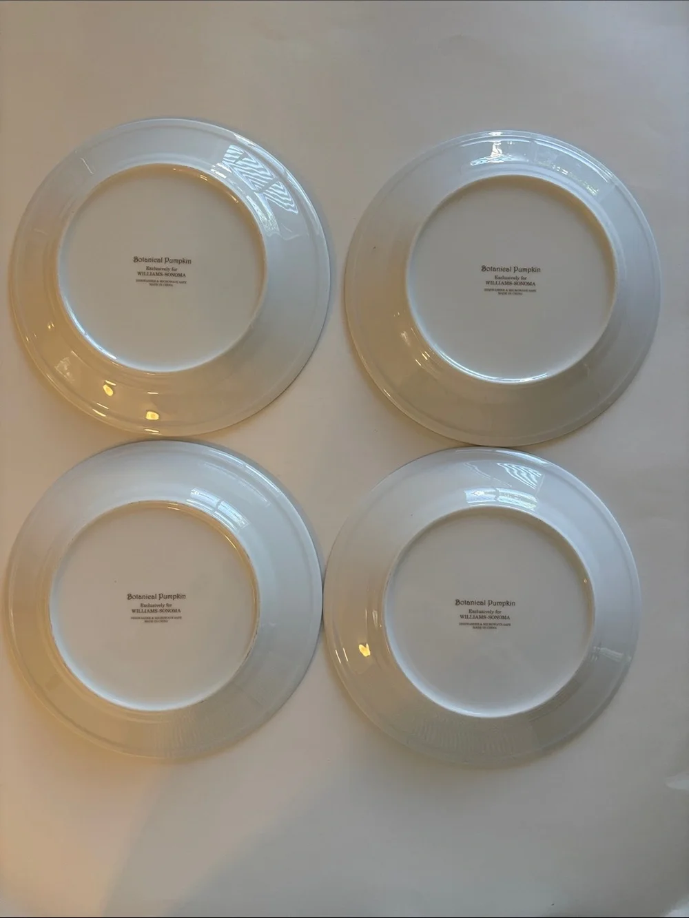 Williams Sonoma Botanical Pumpkin Salad Dessert Plates Set of 4 Thanksgiving